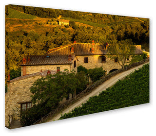 Dan Ballard 'Vineyard Evening' Canvas Art, 24"x16"