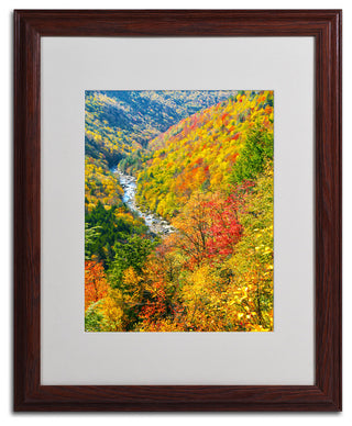 'Valley' Matted Framed Canvas Art by CATeyes