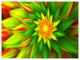 Amazing Dance of Green Petals, Floral Canvas Art Print, 40"x30"