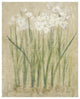 "Narcissus Cool" Digital Paper Print by Cheri Blum, 24"x30"