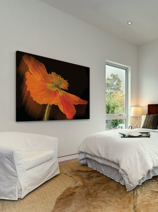 "Dramatic Orange Poppy" Painting Print on Canvas
