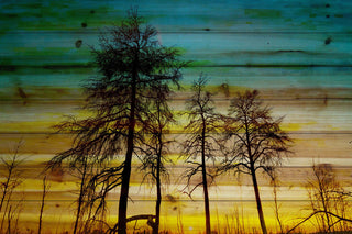 "Emerald Sky" Print on Natural Pine Wood, 60"x40"