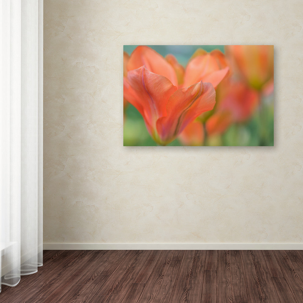 Cora Niele ''Orange Wings Tulips'' Canvas Art