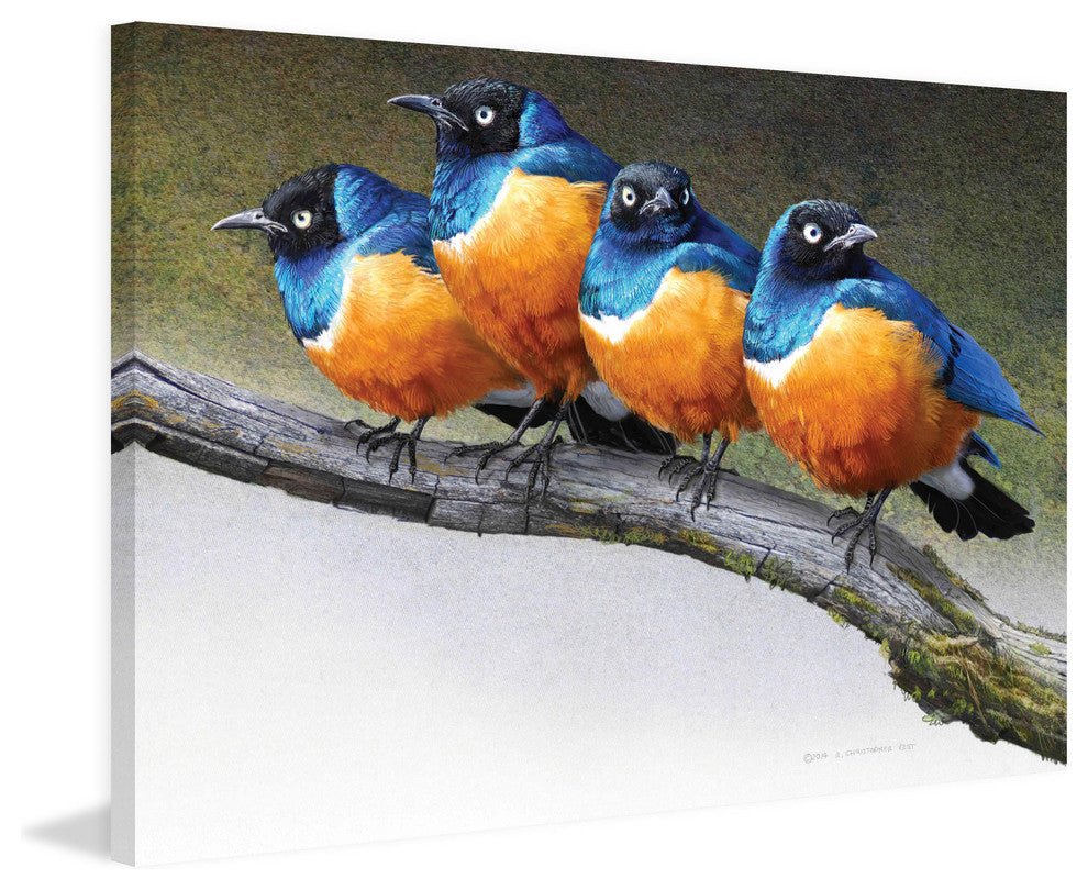 "Grumpy Starlings" Painting Print on Canvas by Chris Vest