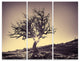 "Lonely Gray Tree in Mountain" Metal Landscape, 3 Panels, 36"x28"