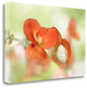 "Summer Glow" By Mandy Disher,Ready to Hang Giclee Print on Gallery Wrap Canvas