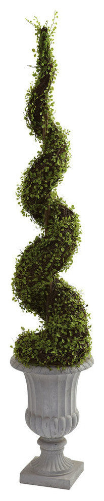 Mohlenbechia Spiral Tree With Decorative Urn
