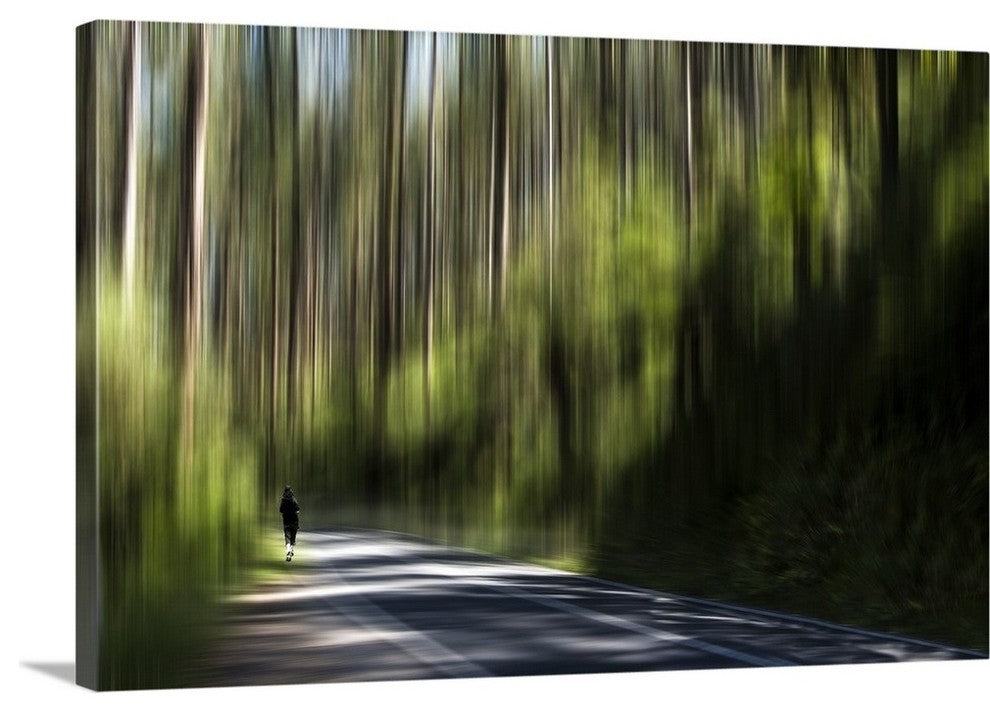 "Black Spur Dream" Wrapped Canvas Art Print, 24"x16"x1.5"