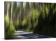 "Black Spur Dream" Wrapped Canvas Art Print, 24"x16"x1.5"