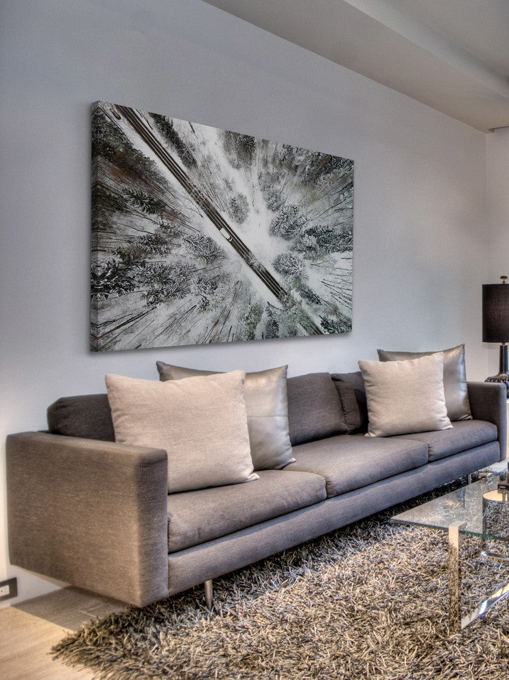 "Icy Forest" Print on Canvas by Karolis Janulis
