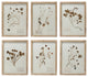 Wood Framed Wall Decor with Botanicals, 6 Styles