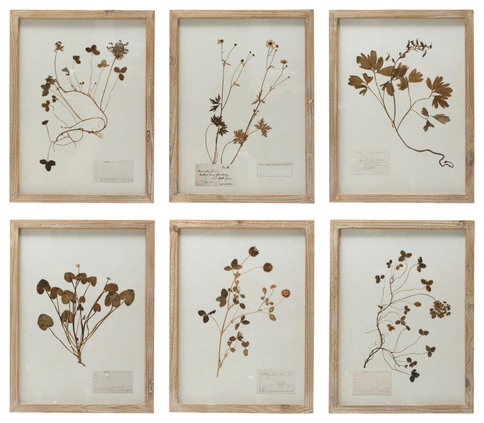 Wood Framed Wall Decor with Botanicals, 6 Styles