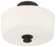 Travis 2 Light Black Forged Ceiling Mount