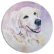 Funny Golden Retriever, Animal Large Disc Metal Wall Art, 36"