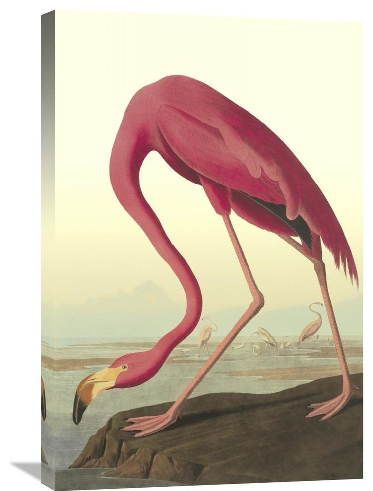 "American Flamingo" Artwork, 20" x 30"