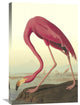 "American Flamingo" Artwork, 20" x 30"