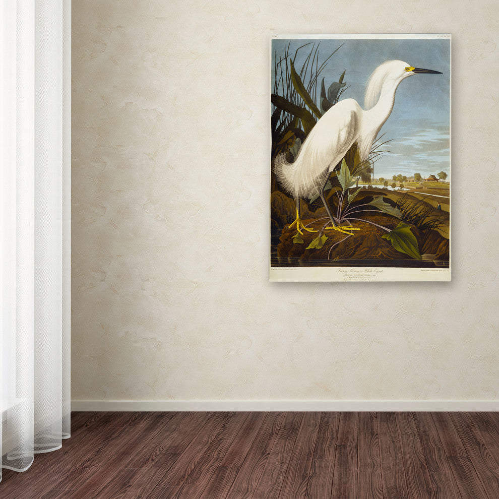 'Snowy Heron' Canvas Art by John James Audubon