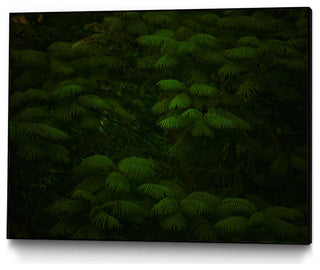 "Leaves" CF Print, 32"x24"