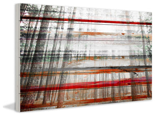 "Grey Trees" Print on White Wood, 36"x24"