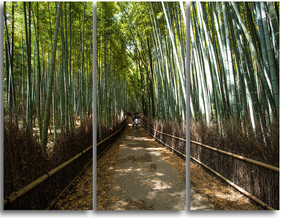 "Wide Pathway in Bamboo Forest" Forest Metal Wall Art, 3 Panels, 36"x28"