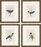 On Perch I, Set of 4