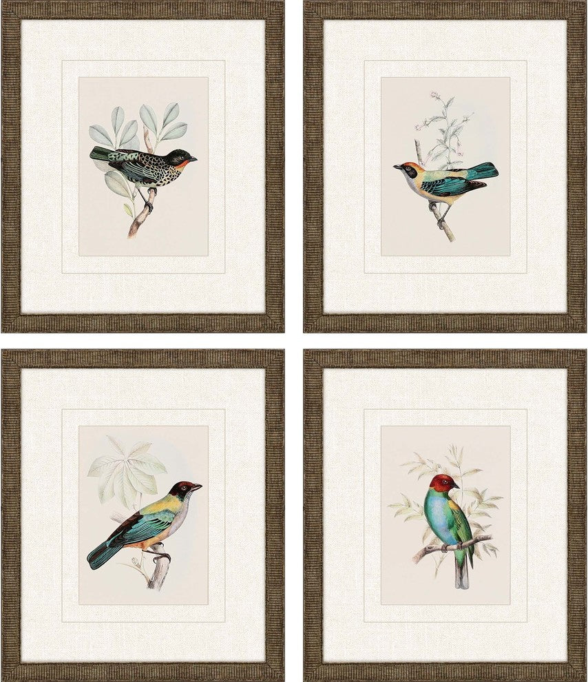 On Perch I, Set of 4