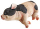 Sleeping Pig Statue