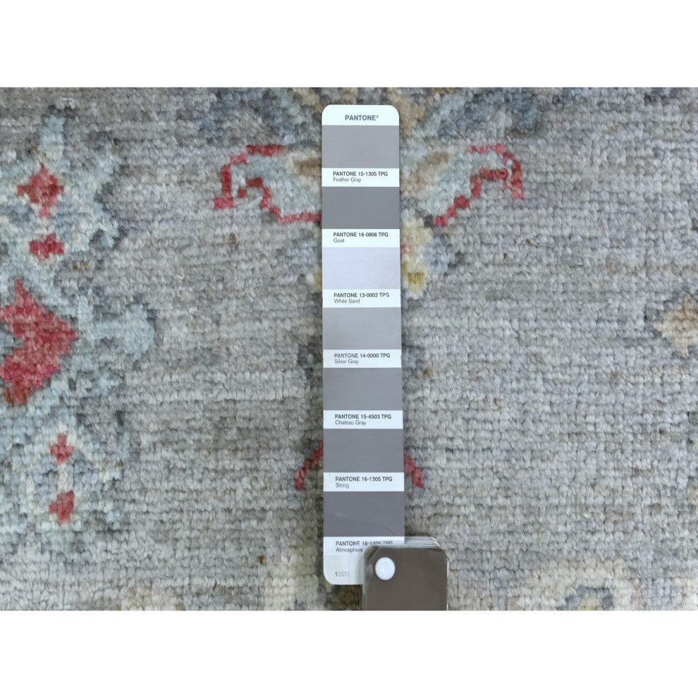Gray Afghan Angora Oushak with Touches of Red Hand Knotted Wool Rug, 2'10"x17'0"