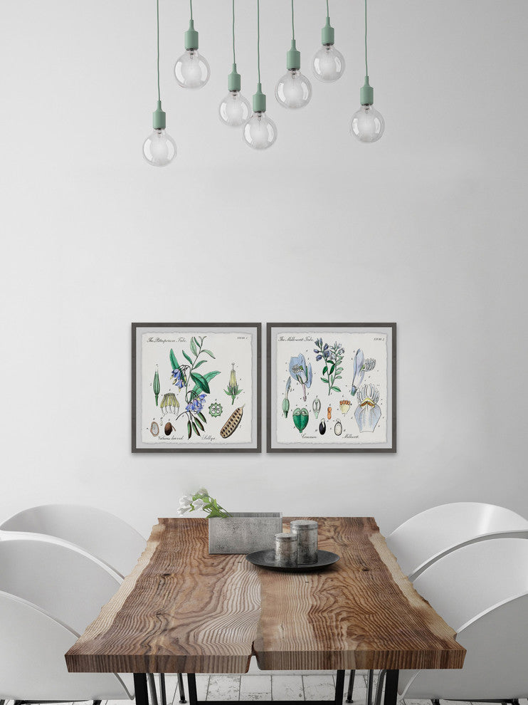 "We Are Bellflowers Diptych" Framed Prints, 18"x18", 2-Piece Set