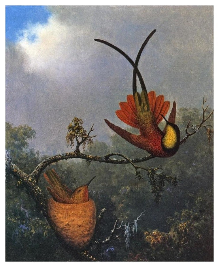 "Crimson Topaz" Digital Paper Print by Martin Johnson Heade, 15"x18"