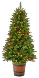 5' Colorado Aspen Pre-Lit Artificial Porch Christmas Tree With 200 LED lights