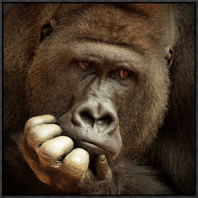 "Sense Of Life" Framed Canvas Giclee by Antje Wenner-Braun, 23x23"