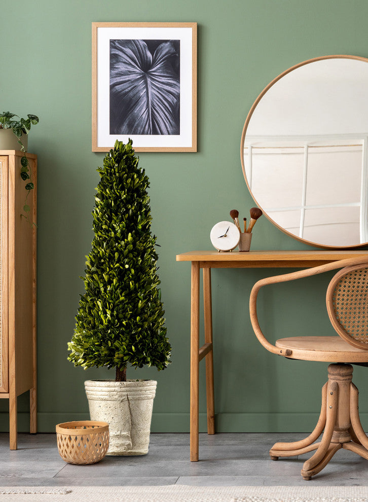 Serene Spaces Living Preserved Boxwood Cone Topiary in a Pot, 31.5" H & 9" D