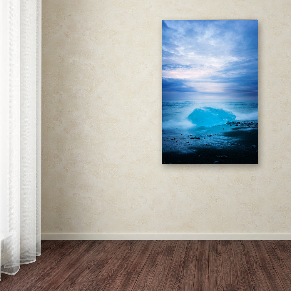 Philippe Sainte-Laudy ''Not Like the Other'' Canvas Art