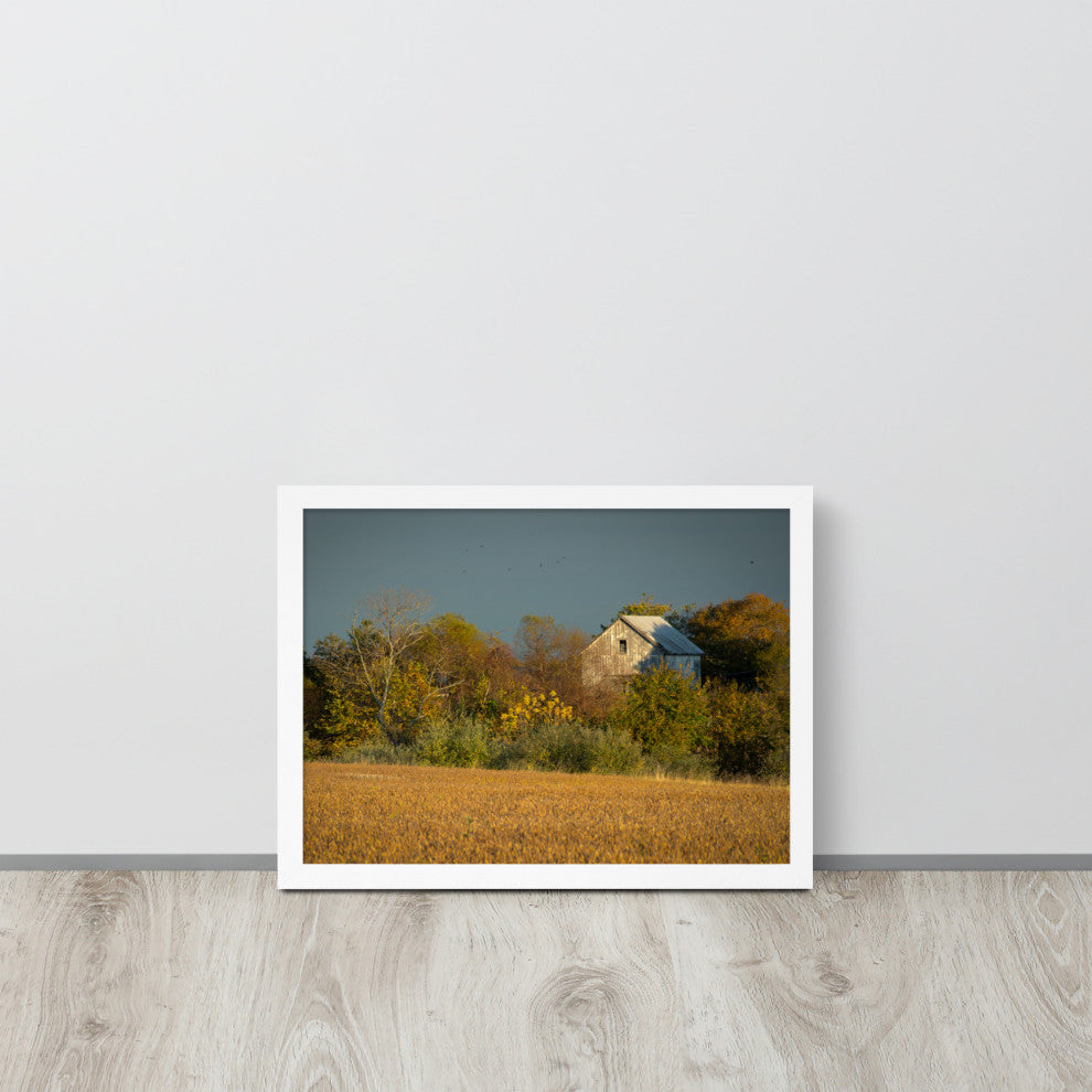 Abandoned Barn In The Trees Framed Photo Paper Wall Art Prints, White, 12" X 16"