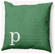 20" x 20" Modern Monogram Indoor/Outdoor Polyester Throw Pillow, Sage