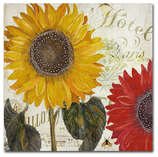 Color Bakery 'Sundresses I' Canvas Art, 14x24