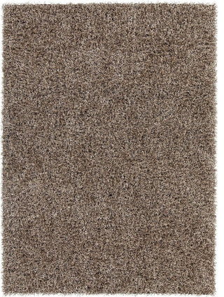 Blossom Contemporary Area Rug, Taupe, 5'x7'