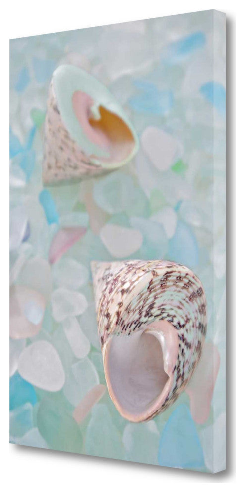 5" Speckled Snail Shell and Colorful Seaglass Giclee Wrap Canvas Wall Art