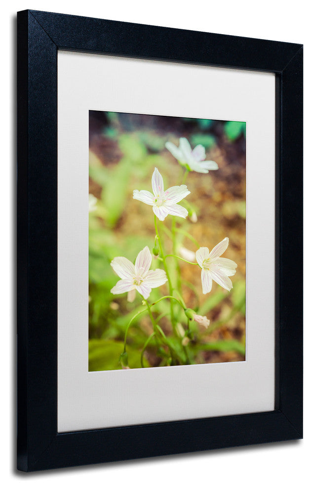 PIPA Fine Art 'Tranquil Carolina Spring Beauty' Matted Framed Art, 14x11