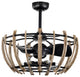 Matthias 26 in. Indoor Black Finish Ceiling Fan with Light Kit and Remote