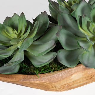 Uttermost Yuma Succulent Centerpieces