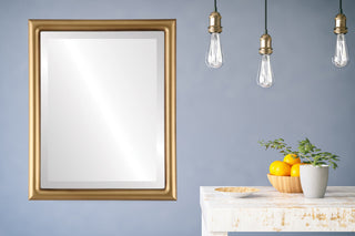 Pasadena Framed Rectangle Mirror, Desert Gold, 21"x25"