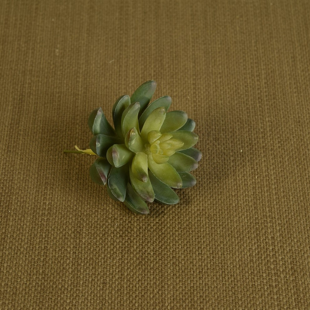 Single succulent on brown fabric background; close-up lifestyle shot.