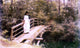 Ilia Efimovich Repin On a Bridge in Abramtsevo Wall Decal