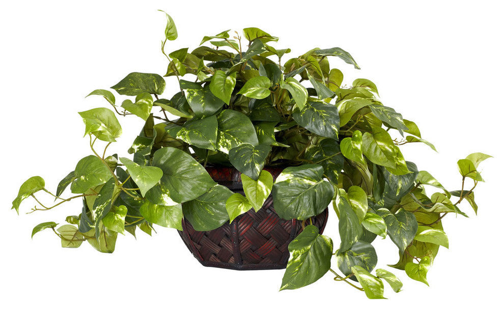 Pothos With Decorative Vase Silk Plant, Same As 6635