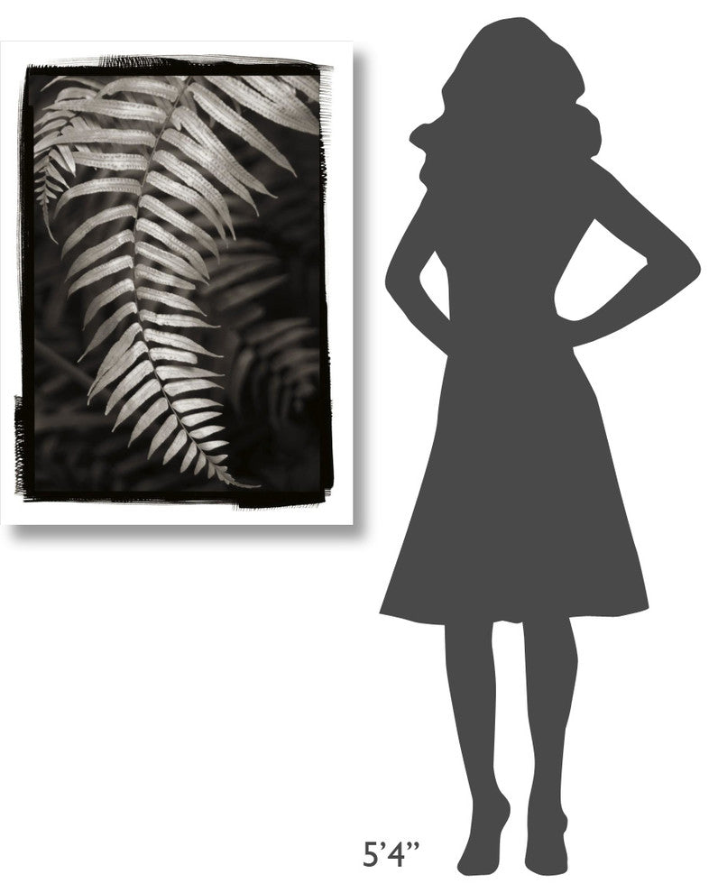 "Fern II" Digital Paper Print by Debra Van Swearingen, 28"x38"