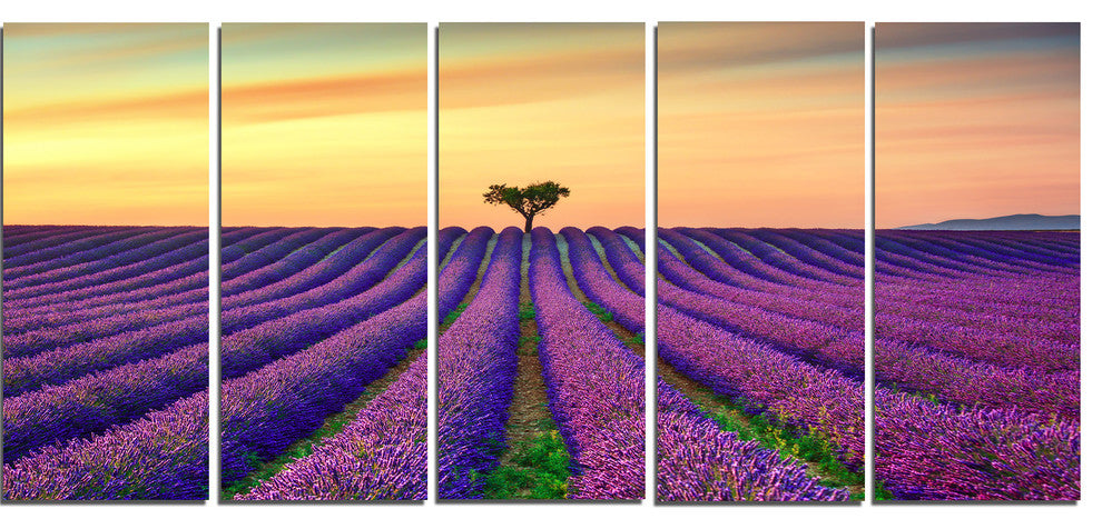 "Lavender Flower Rows in Provence" Landscape Wall Art Print, 5 Panels, 60"x28"