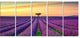 "Lavender Flower Rows in Provence" Landscape Wall Art Print, 5 Panels, 60"x28"