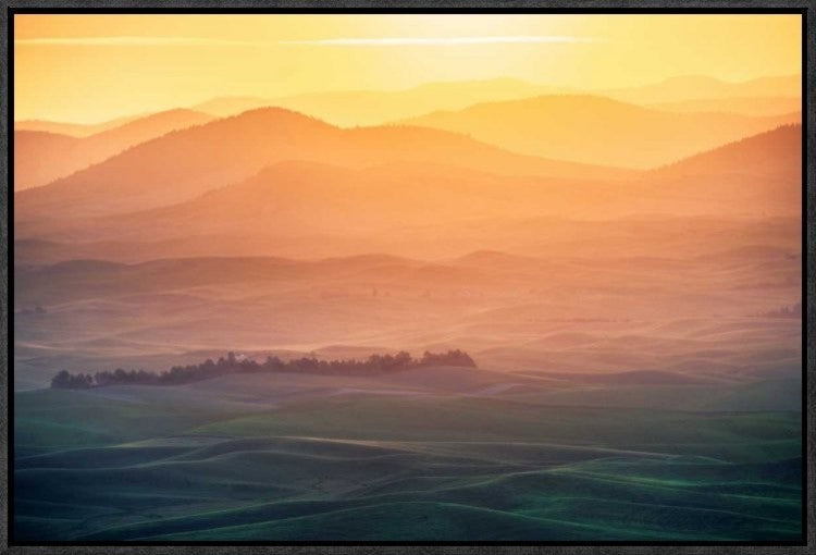 "Dreamy Morning" Framed Canvas Giclee by Naphat Chantaravisoot, 23x16"